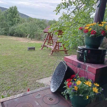 Hello Nature House - Cheile Nerei, Carasului, Garlistei Giurgiova Exteriér fotografie