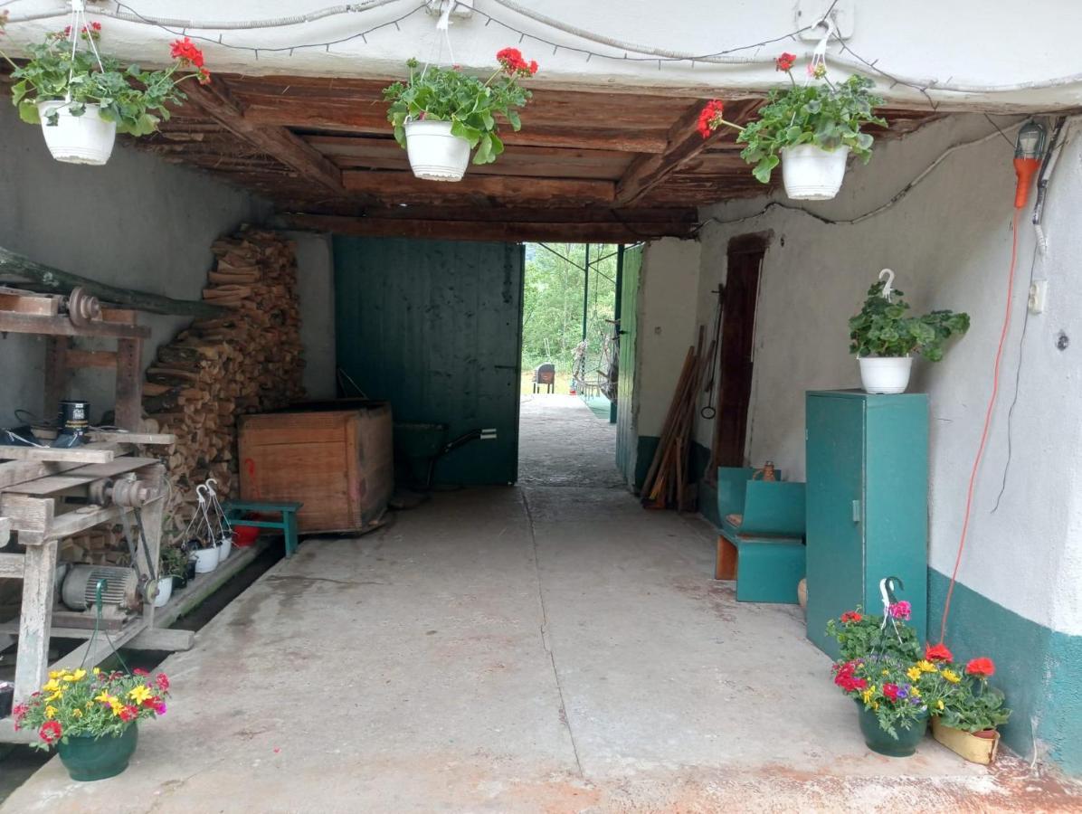 Hello Nature House - Cheile Nerei, Carasului, Garlistei Giurgiova Exteriér fotografie